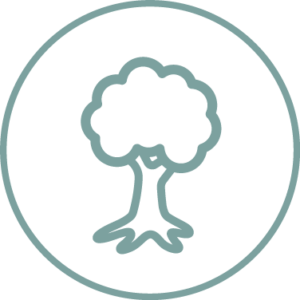 Goal 6